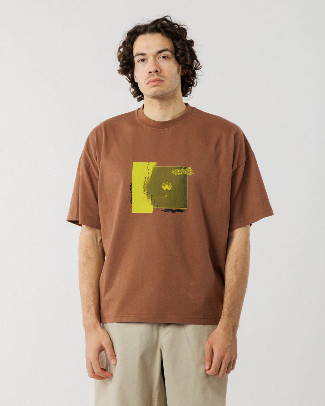 Shadow Canyon Box T-Shirt - Brown