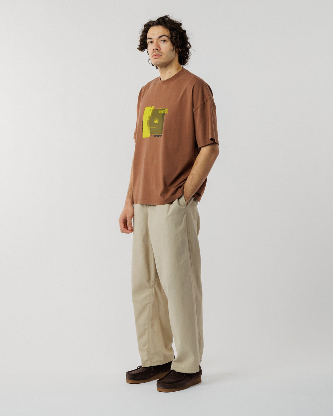 Shadow Canyon Box T-Shirt - Brown