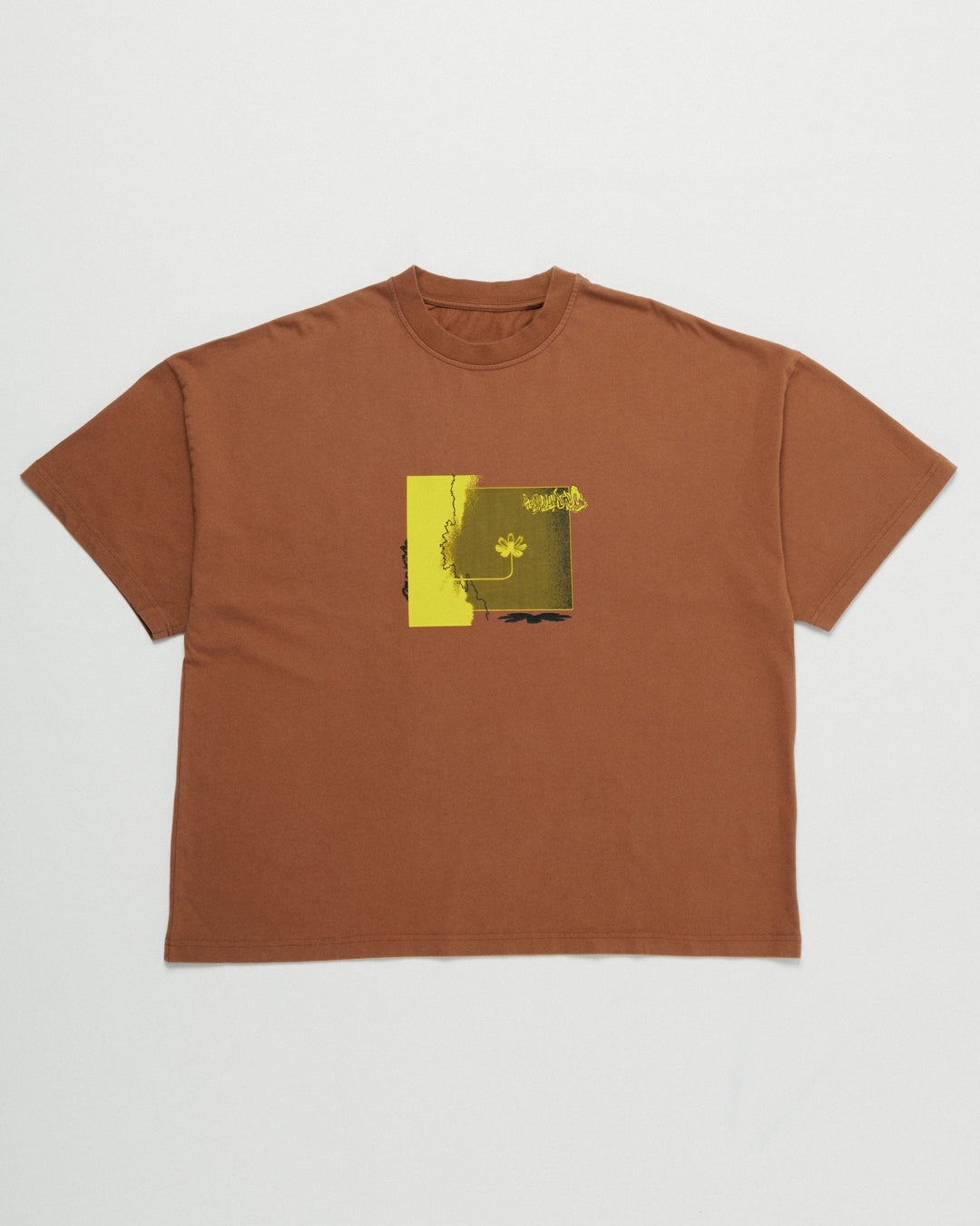 Shadow Canyon Box T-Shirt - Brown